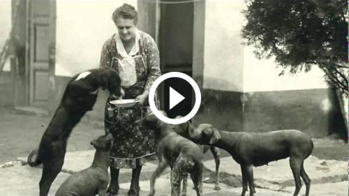 Huipiles fra Oaxaca 24